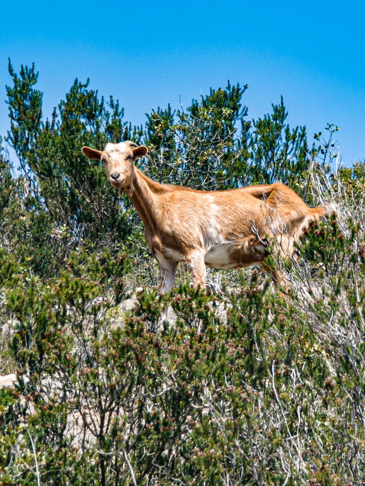 Local hiking Marxuquera